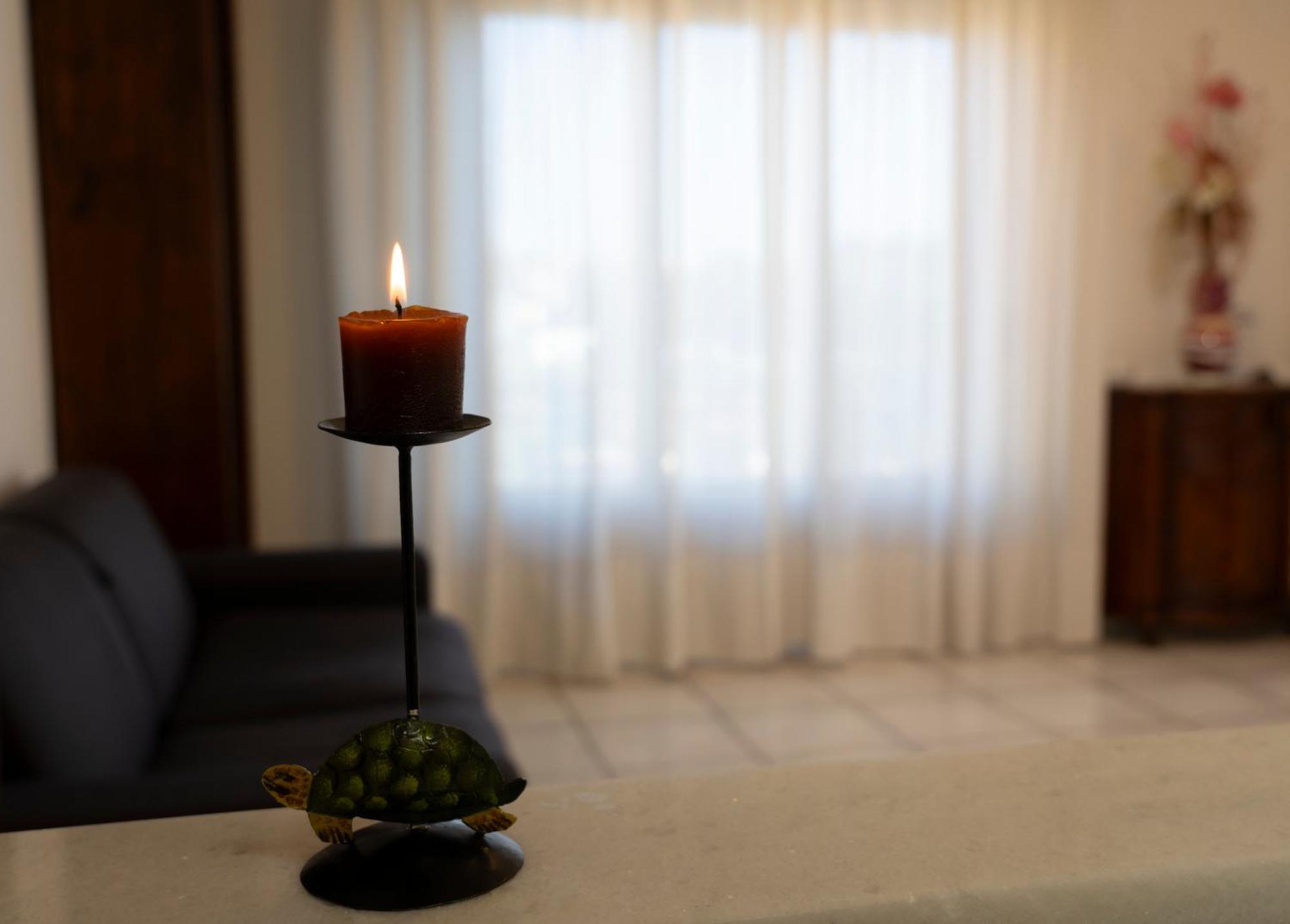 La Tartaruga Apartment Сиена Екстериор снимка